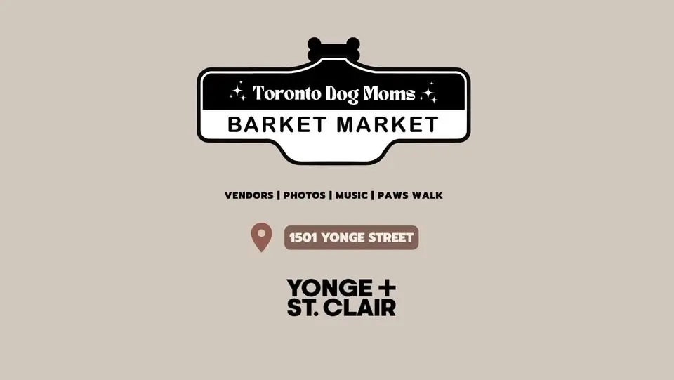 Barket Market: Yonge + St. Clair Edition
