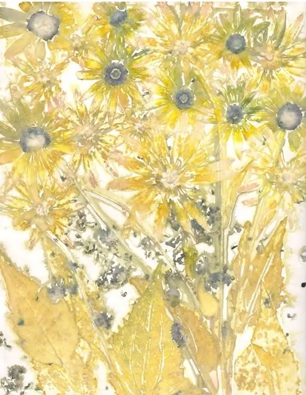 Eco Printing on Paper with Mary DeLano, Sept 12