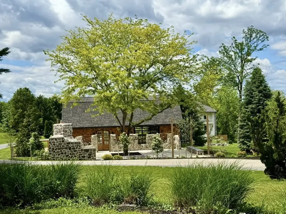 Summer on the Farm