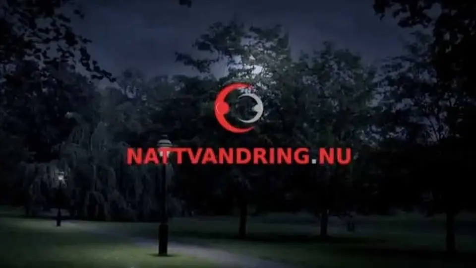 Enskede nattvandring