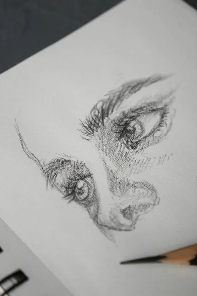 Drawing the Face