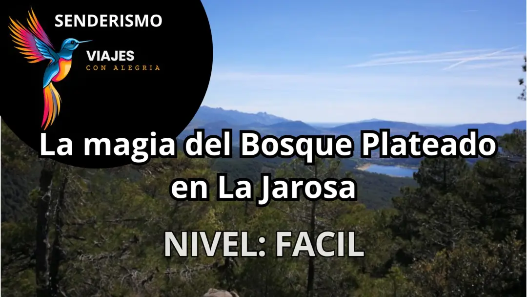 🌲 La magia del Bosque Plateado y La Jarosa