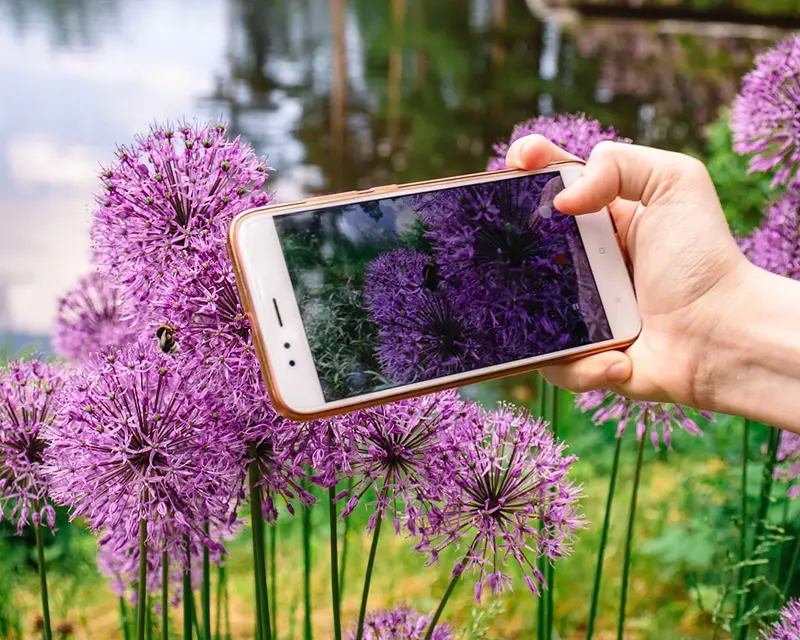 Digital hjälp med sommarungdomarna