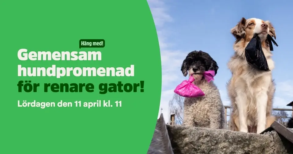 Gemensam hundpromenad