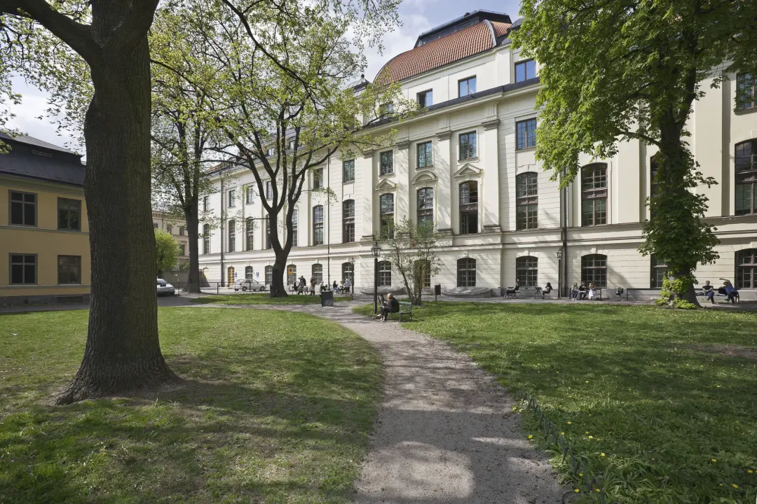 En multimedial kväll med film, musik, dans & konst
