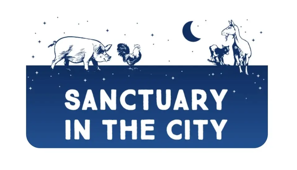 Sanctuary in the City - NYC