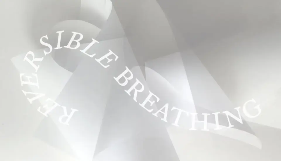 TROJAN HORSE SUMMER SCHOOL 2026 “Reversible Breathing”