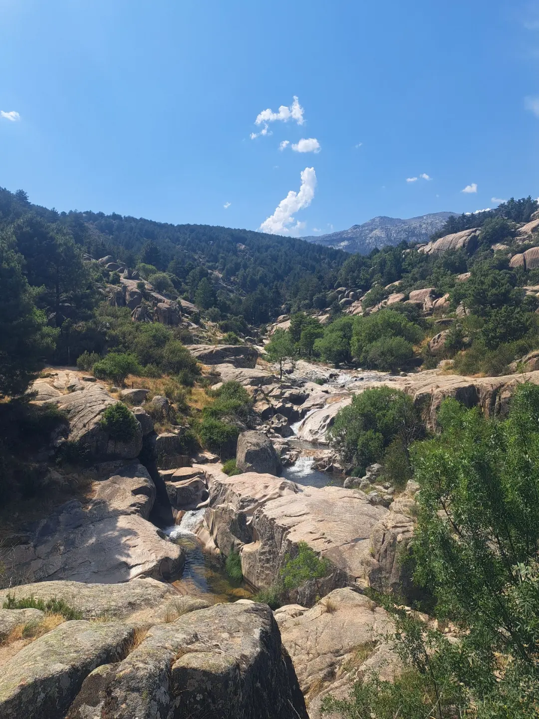 30/05 🏞️📍Senderismo en La Pedriza CHARCA VERDE💦 ☀️ MANZANARES EL REAL 🌳