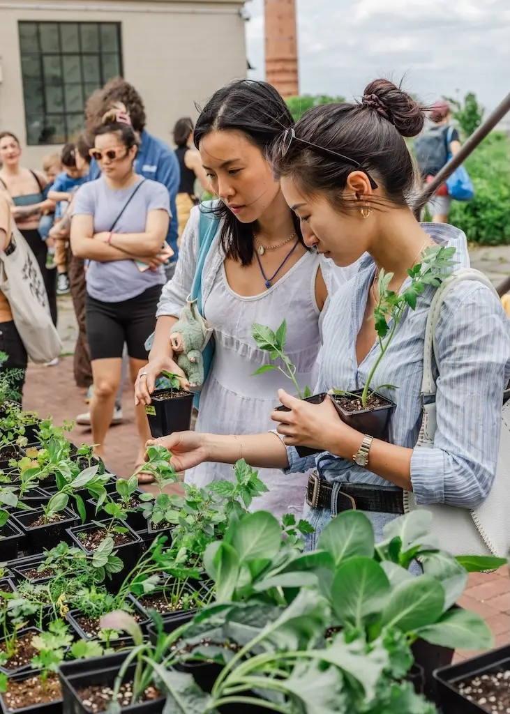 Spring Fest: Open Farm Day & Plant Sale at Brooklyn Grange