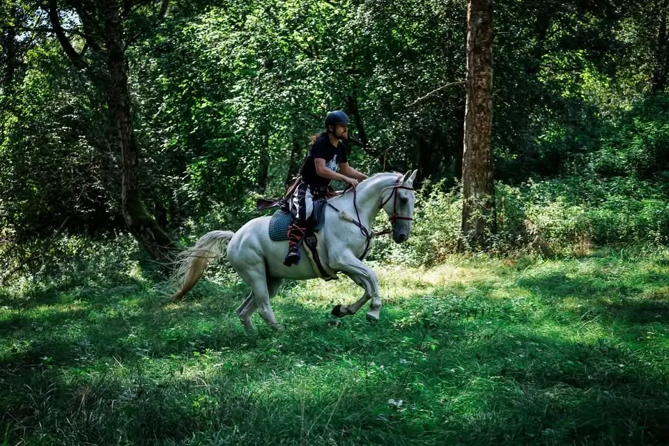 Jezdecká lukostřelba na Vysokém Záhoří