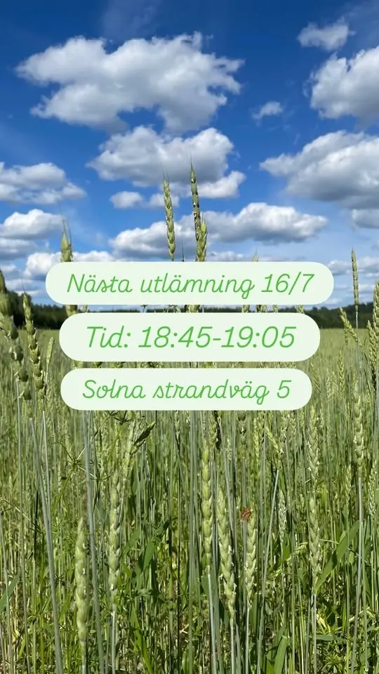 REKO-utlämning Solna / Sundbyberg
