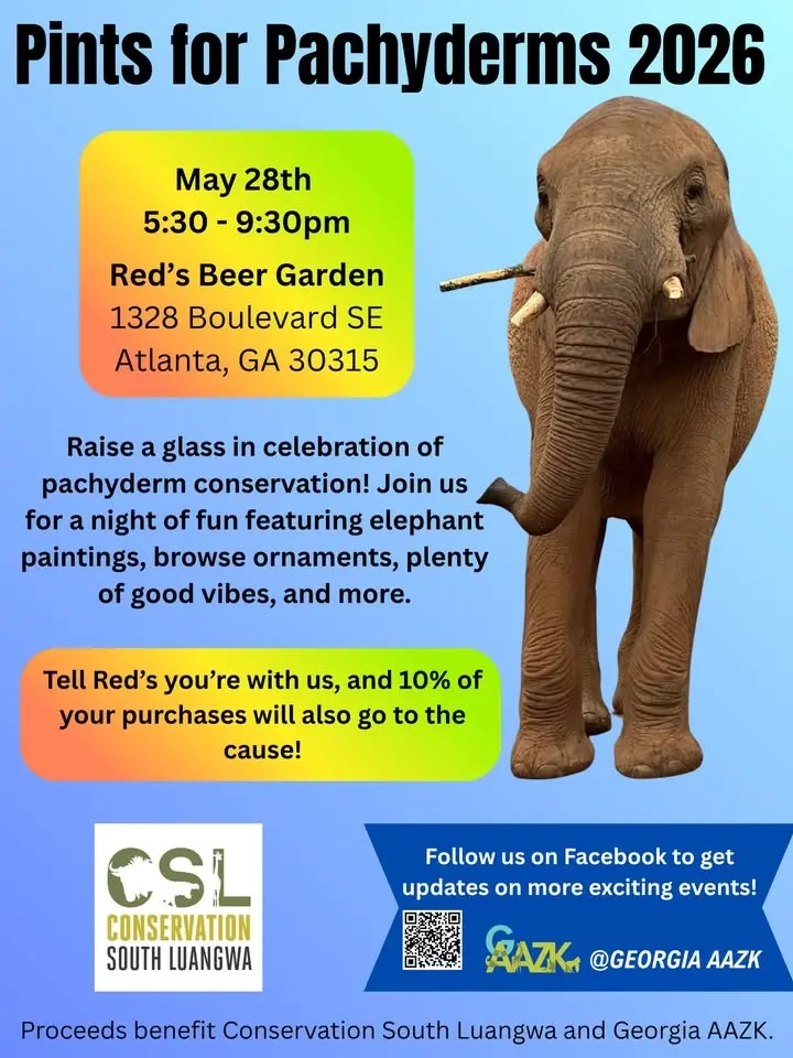 Pints for Pachyderms 2026
