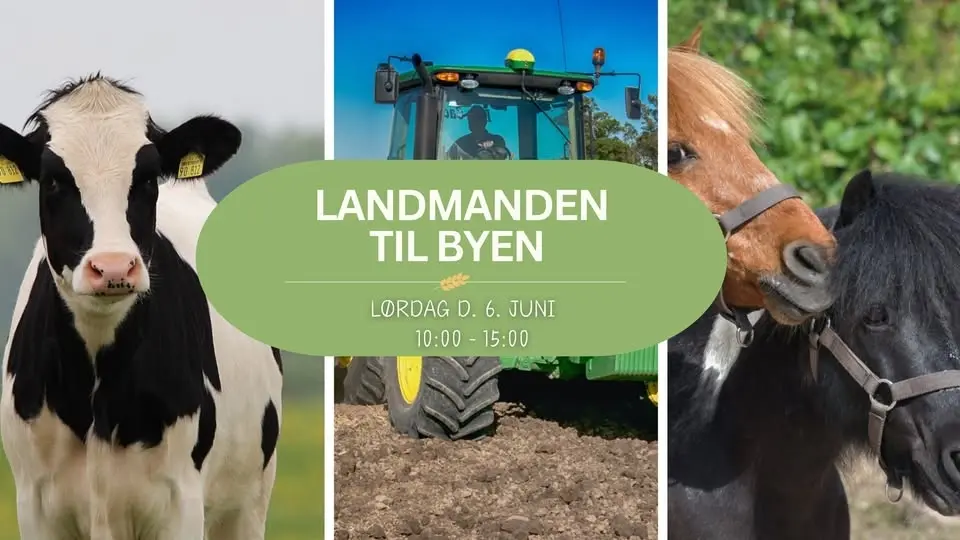 Landmanden kommer til byen🧑🌾🚜🐄🐎🪿🌾