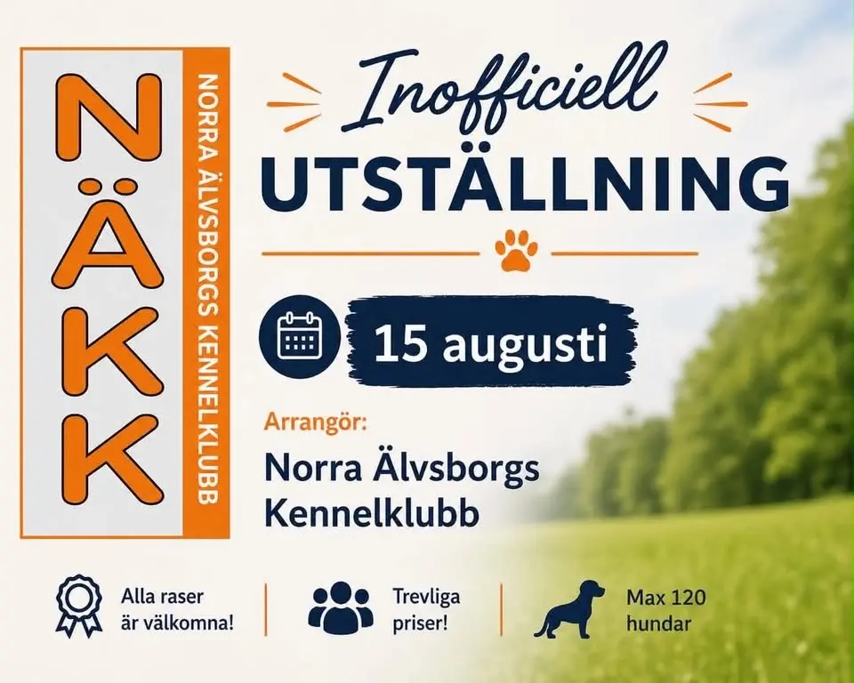Inofficiell utställning i samband med utbildning
