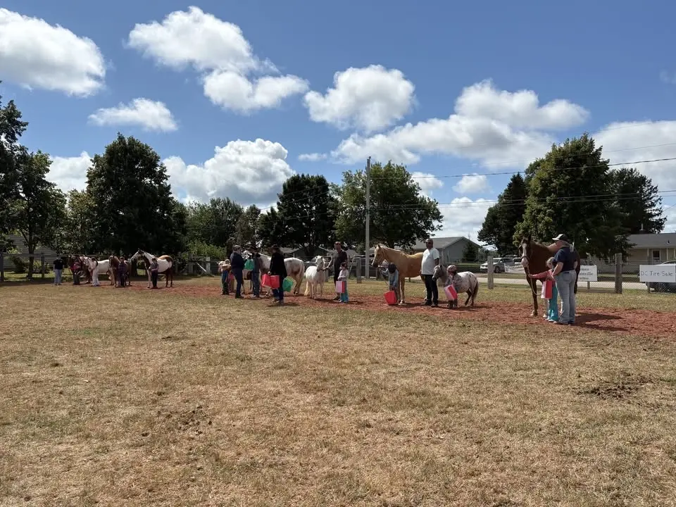 Evangeline Light Horse Show (Egmont Bay)