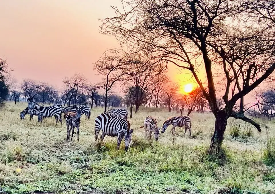 3 Days / 2 Nights Serengeti & Ngorongoro Camping Safari