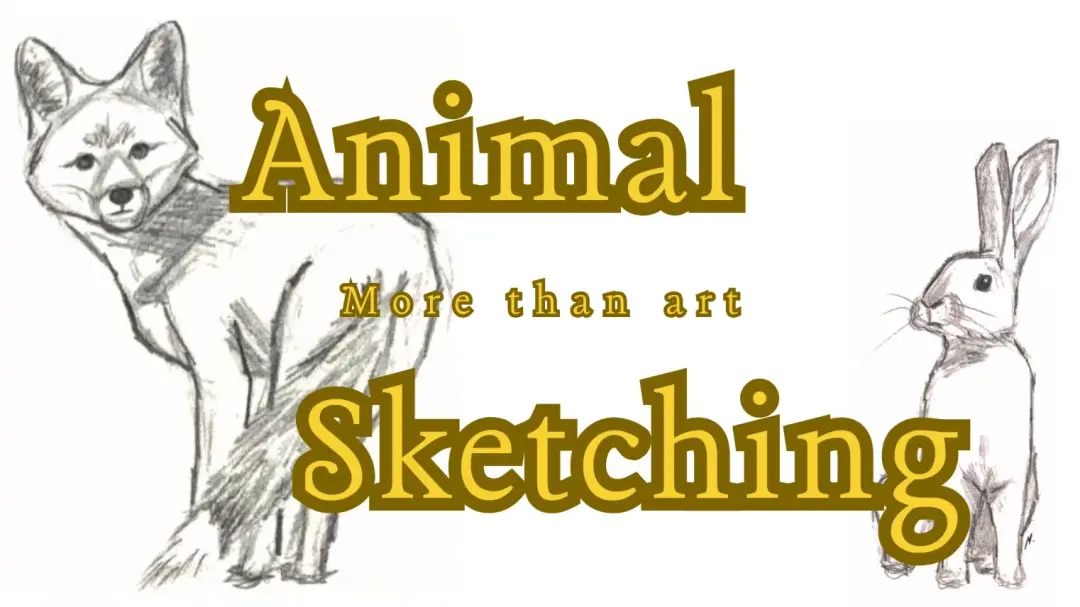 Animal Sketching in Natural History Museum