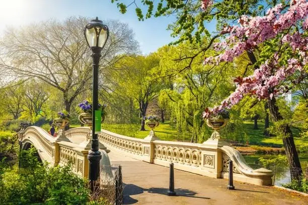 Central Park Singles Sunset Date Walk