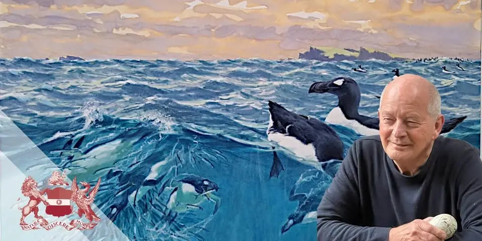 The Great Auk: Magisterial, Iconic and Extinct
