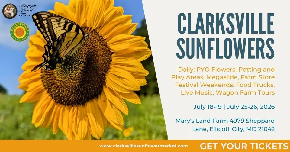 Clarksville Sunflowers Festival 2026