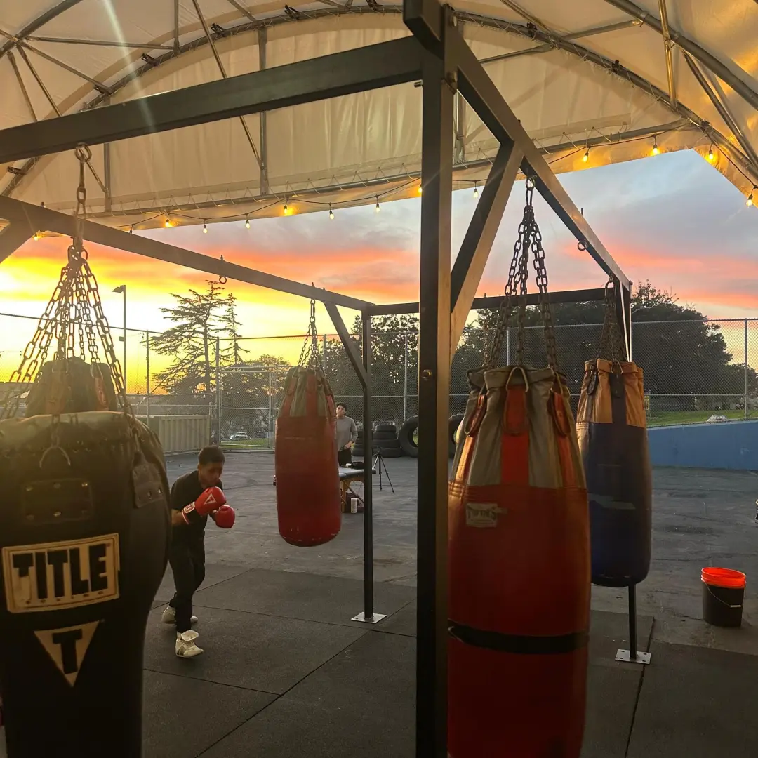 Fights & Function by Vertical Skillz