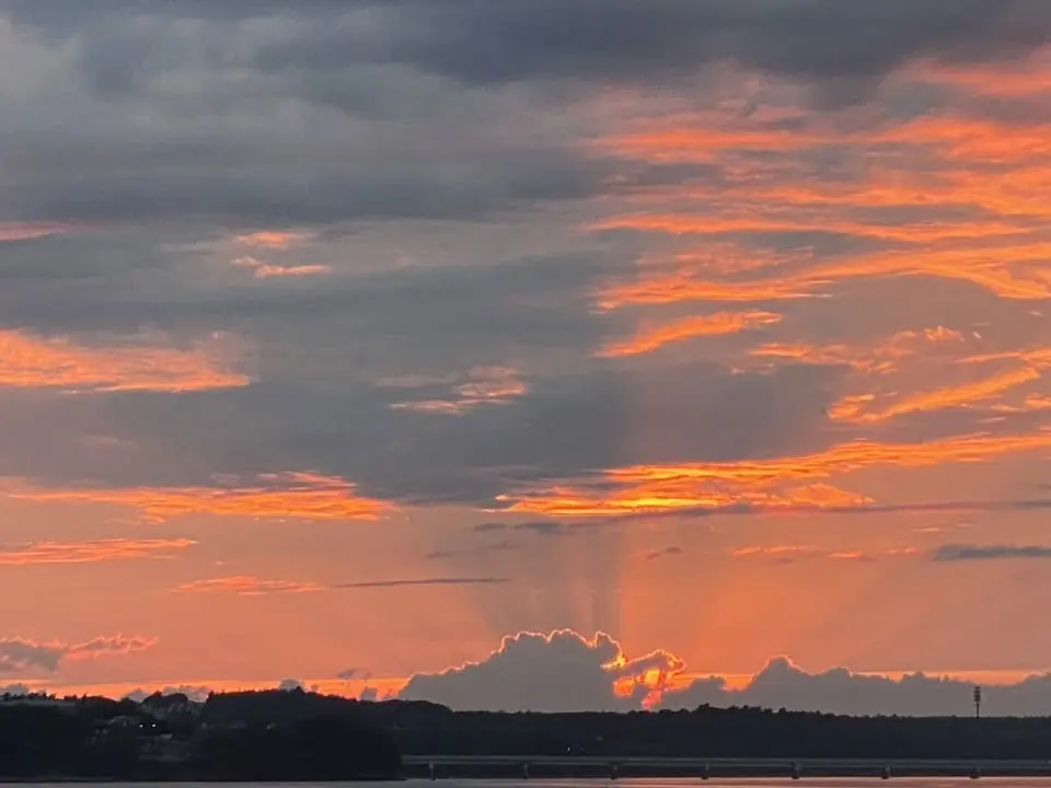 Foggs Water Taxi Sunset Cruise ~ Seagrass