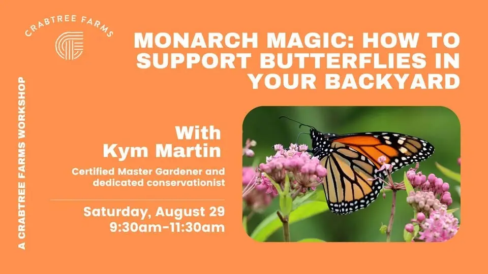 Monarch Magic: How to Support Butterflies in your Backyard