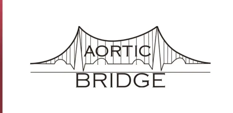 Aortic Bridge's Walk For Awareness Across the Brooklyn Bridge