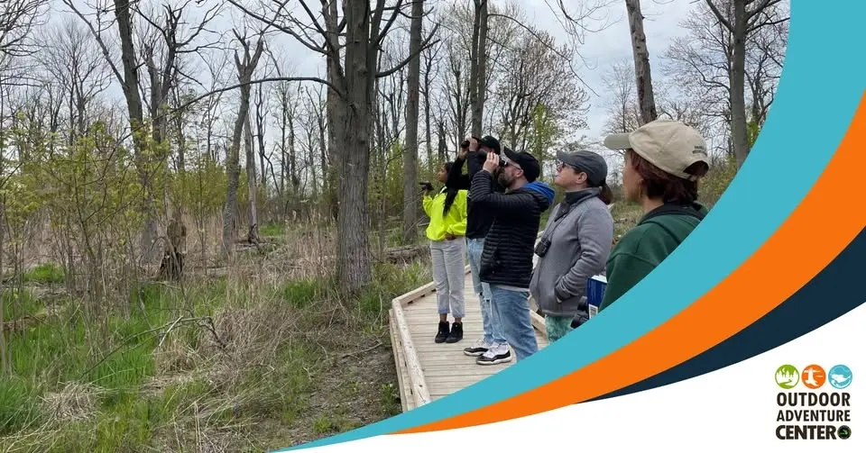 Birding Belle Isle