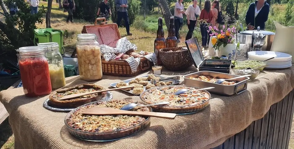 Naturens skafferi & apotek - guidad tur med mat (buffé på ogräs och vilda växter)