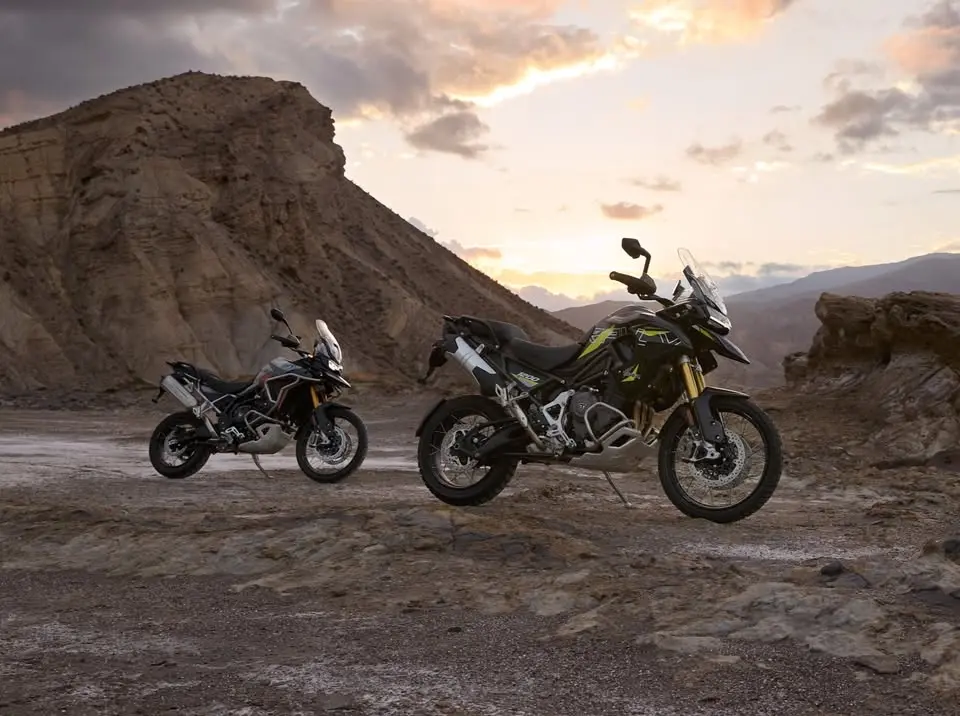 Demo Day - Tigers & Scramblers