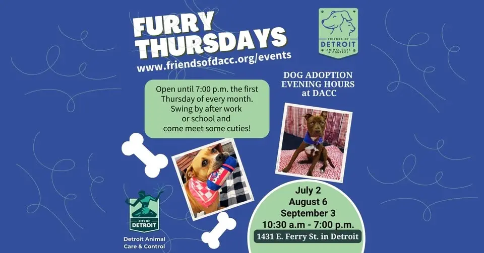 Furry Thursday! Evening Adoption Hours at DACC