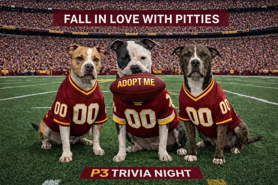 🍁🐾🏈 Fall in Love with Pitties: Football Celebration & Trivia Night 🏈🐾🍁