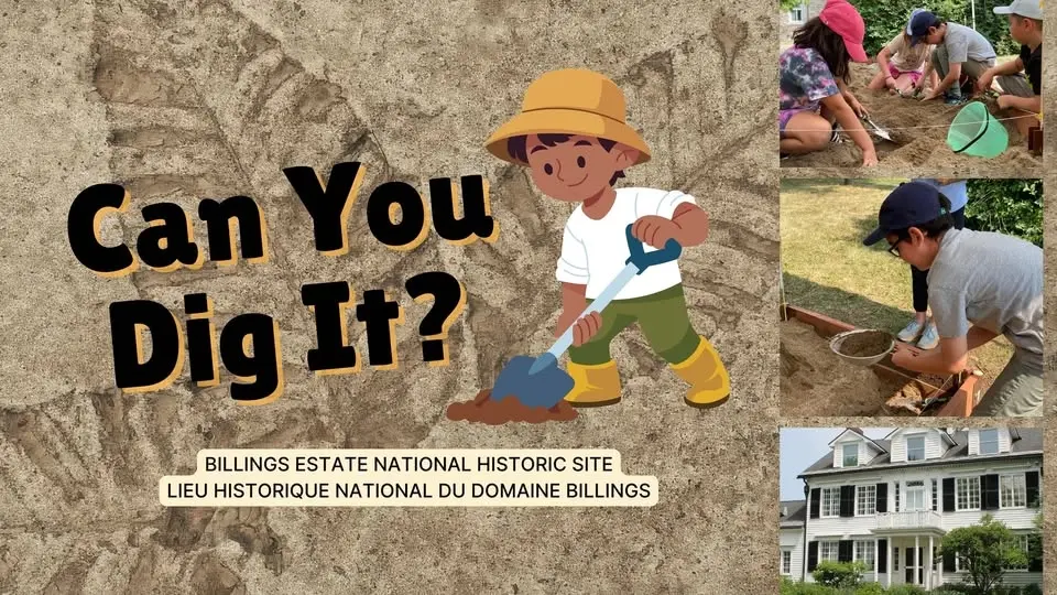 Can You Dig It?