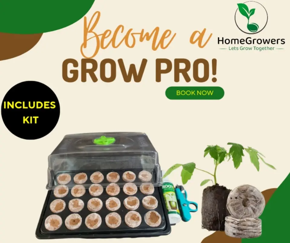 Edenvale | Seed Propagation and Cloning Workshop | 28 June @9am
