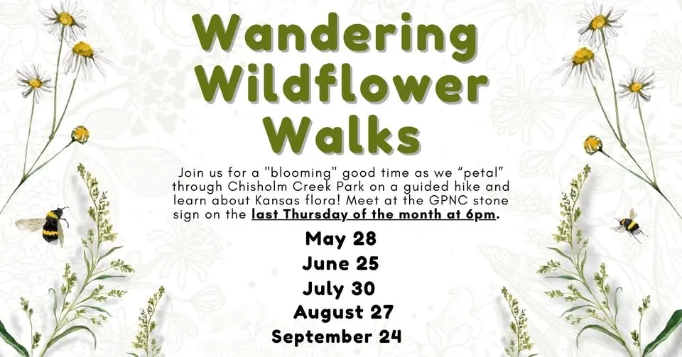 Wandering Wildflower Walks 