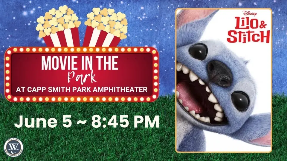 Movie in the Park