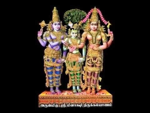 Marriage Function 