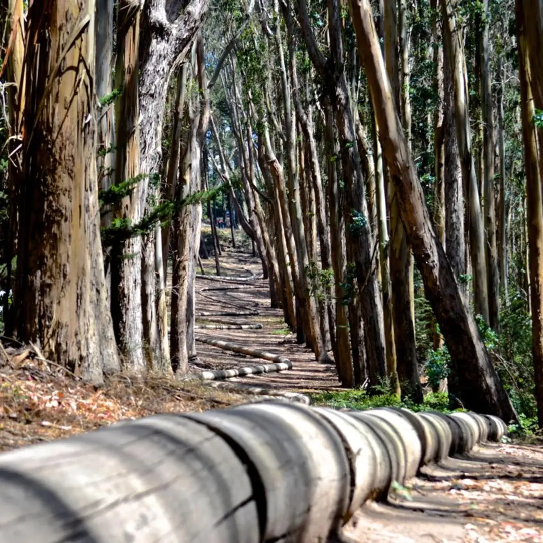 Land Art In presidio
