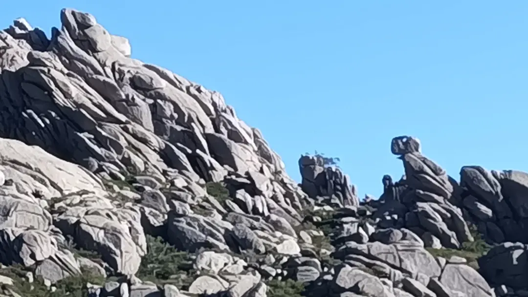 03/05 [Media]🦖 El Dinosaurio - El Tiburón 🥾 RUTA SENDERISMO 📍 Navacerrada 🏔️