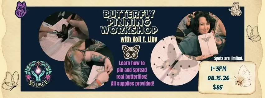Butterfly Pinning Workshop