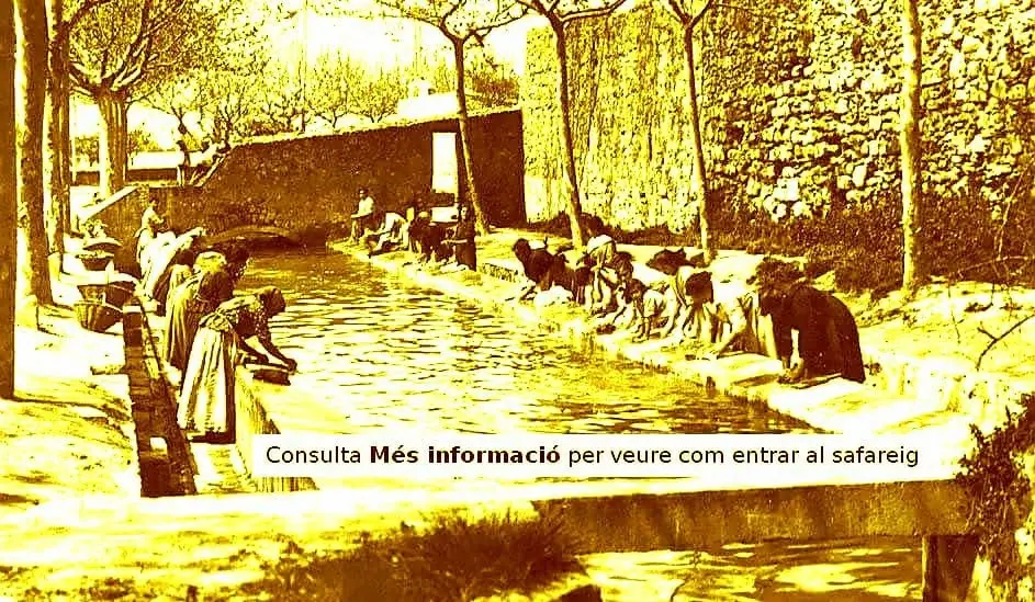 Avui a leș 7 de la tarda. Veniu a gaudir d'una tarda mágica. Encara queden tres places.