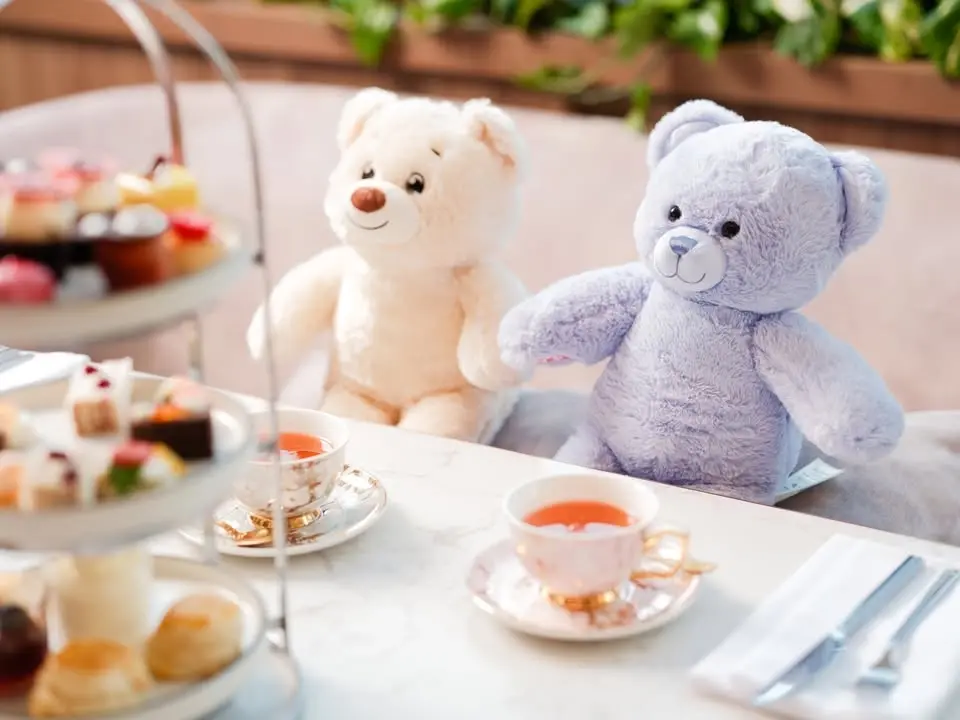 Teddy Bear High Tea Buffet - JULY 25 [FINAL TICKETS]