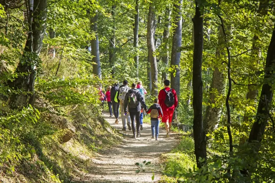 Följ med på orkidéjakt vid Lammevadskärret! - Tidaholms Naturskyddsförening