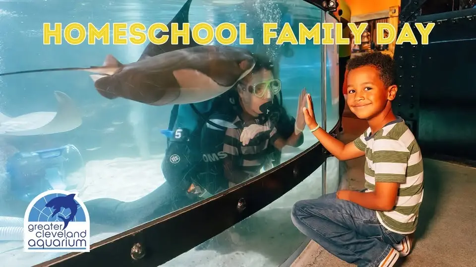 Homeschool Family Day - Elasmobranch Extravaganza
