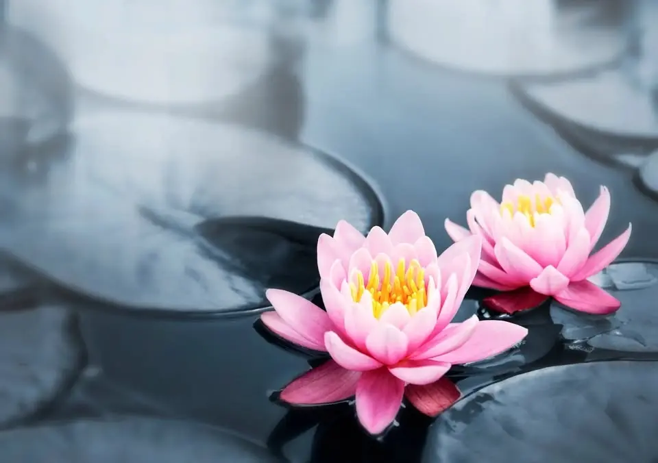 Vipassana meditation; a way to recover from childhood trauma