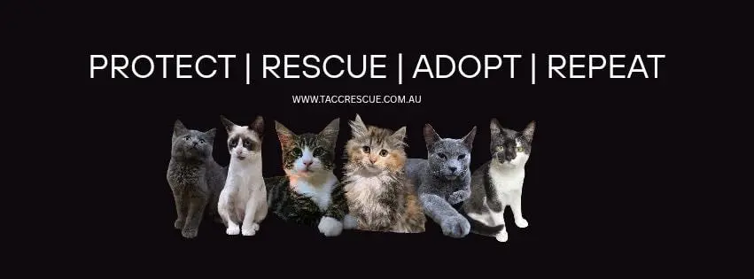 Pets Day Out 2026!