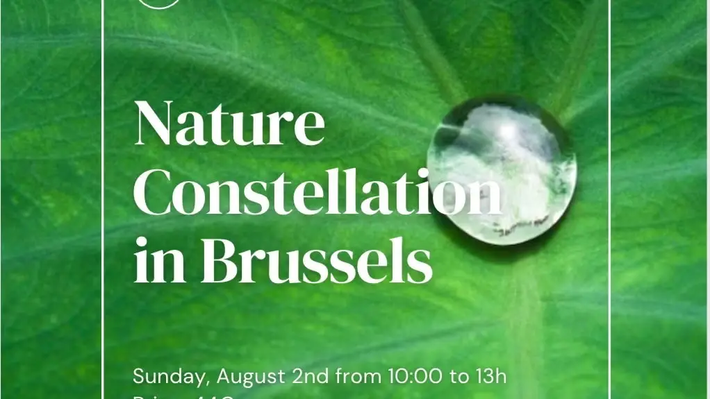 Nature Constellation in Brussels