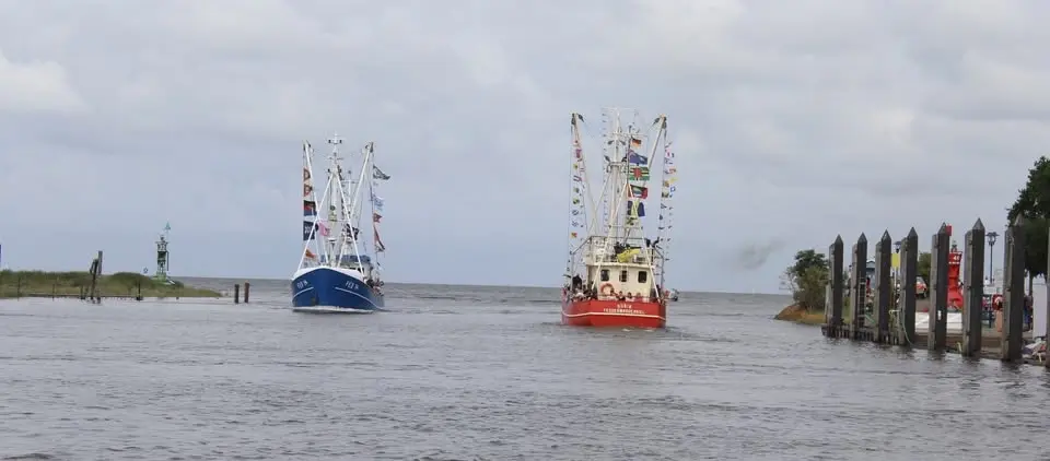 Krabbenkutter-Regatta