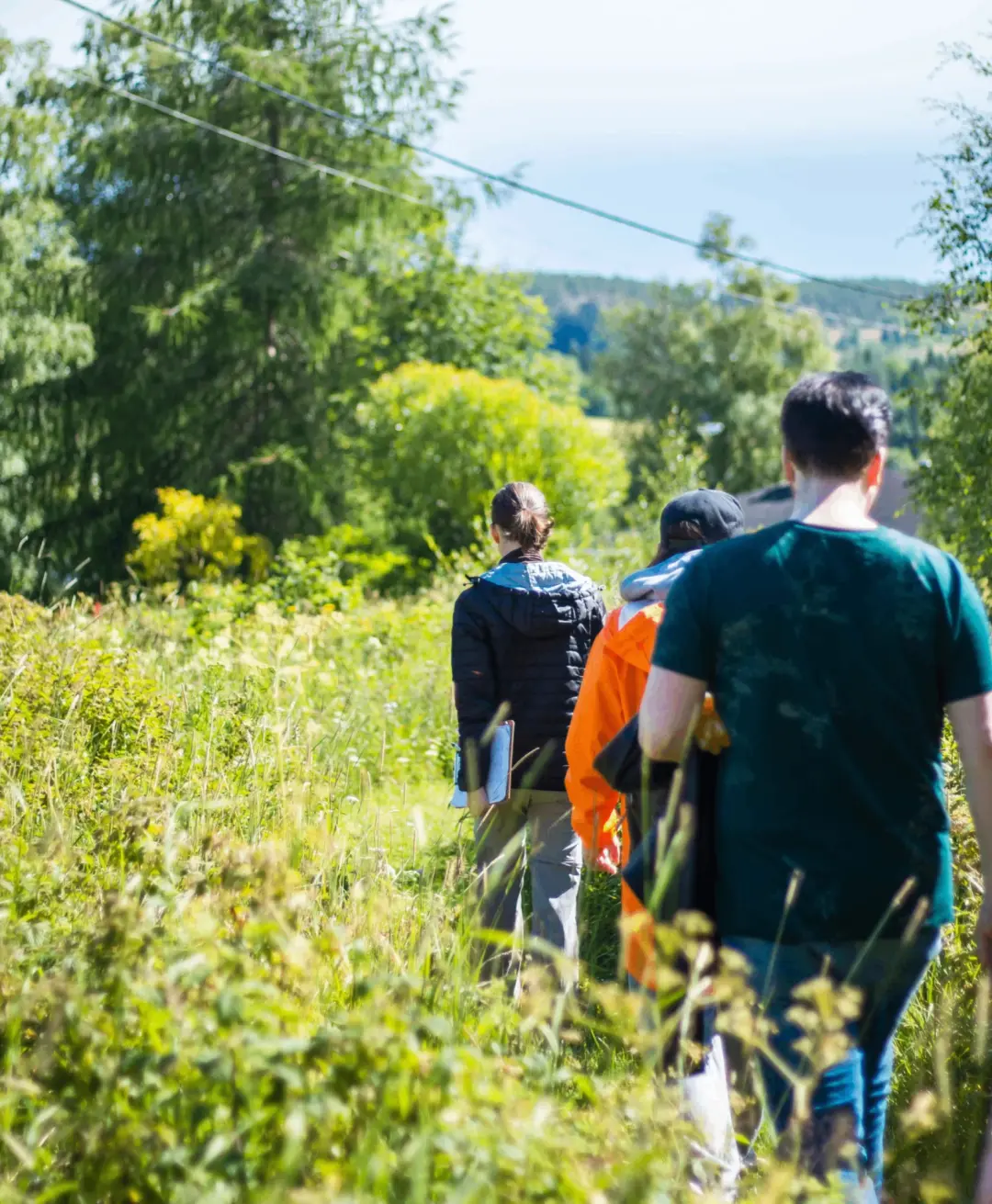 Örtvandring Lögdö Bruk